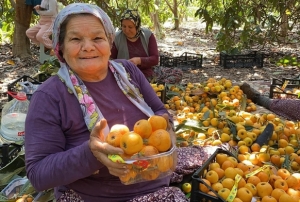 D�� pazara 4 dolara g�nderiliyor!