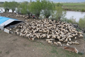 T�rkiye�de ilk kez uyguland�!