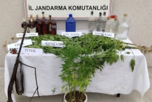 D�zce'de 85 ki�iye uyu�turucu i�lemi