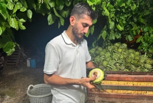 Ailecek enginar soyucular!