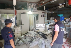 603 kilogram bal��a el konuldu