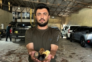 Bir belgesel izledi, hayatı değişti