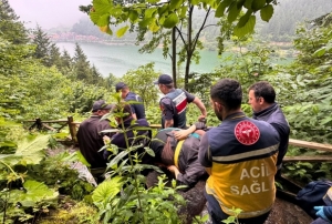 Uzungöl'de seyir terasından araç uçtu