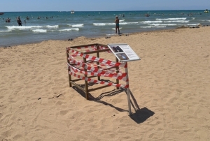 'Caretta caretta' yuvas� bilmecesi