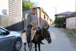 Sürücü belgesi olmadığından eşeği ile servis yapıyor