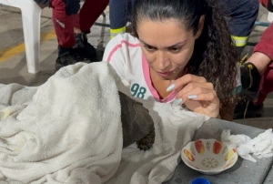 Kaplumba�a i�in zamanla yar���ld�