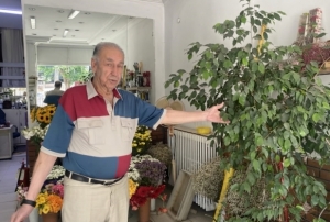 Direkt g�ne� ����� �i�ekler i�in zararl�