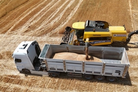 thalat aklamas bile arpann ateini drmedi