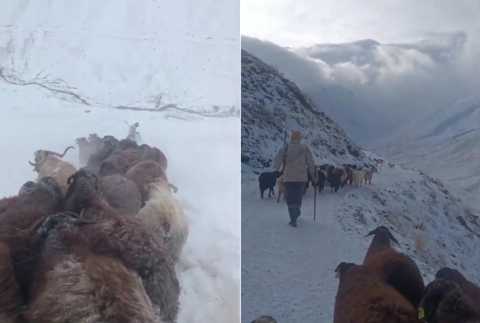 A�r�'da kar ve tipi hayat� durdurdu