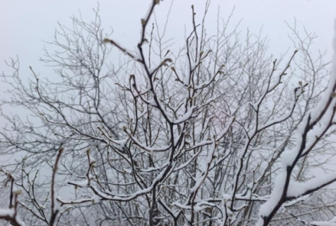 F�nd�k �reticileri tedirgin 