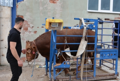 575 bin liraya al�c� buldu!