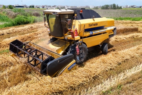 Rekolte y�z g�ld�rd�!