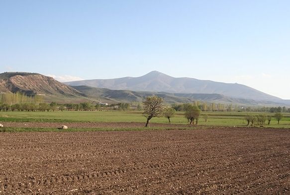 Tarlas olanlar dikkat, son 3 aynz kald!