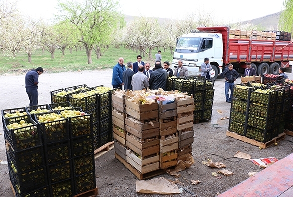 Nusaybin'deki gvenlik glerine 20 ton elma