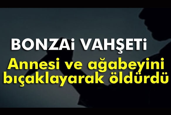 Bonzai vaheti 