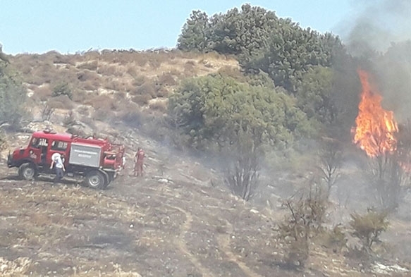 Reklam yapaym derken orman yaktlar