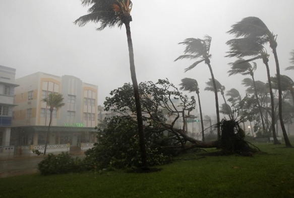 Florida'da Irma Kasrgas'ndan 6 kii ld