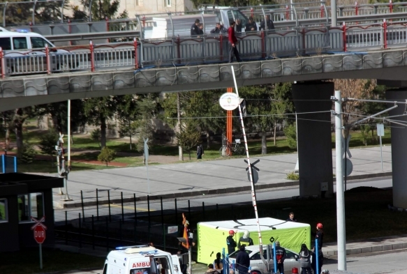 Polis ekipleri tarafndan ikna edilerek aa indirildi