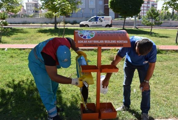 Kocasinan Belediyesi sokak hayvanlarn sahipsiz brakmad