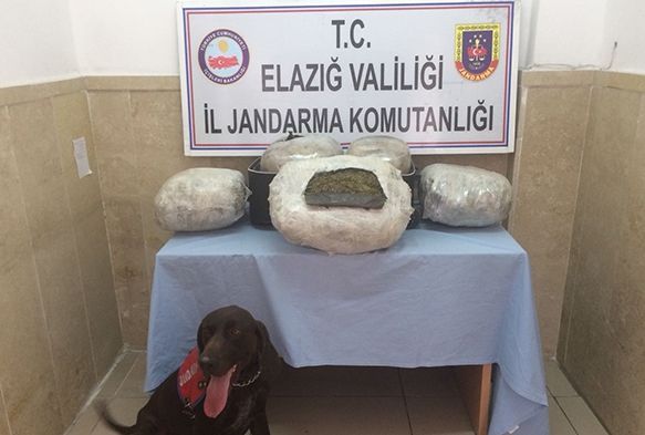 Trendeki 26 kilo esrar narkotik kpekleri buldu