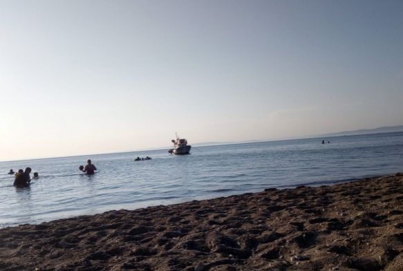 Korkutan deniz canls