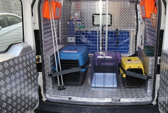 Kocasinan'n Kk Dostlar Ambulans bin 252 can kurtard