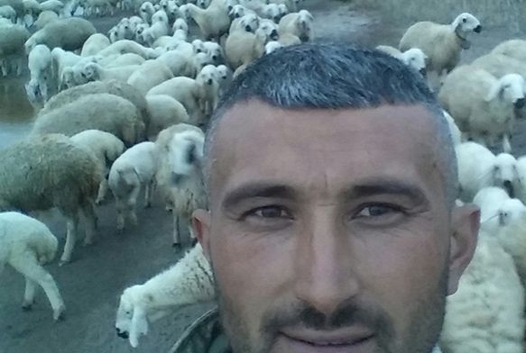 Koyunu kurtarmaya alrken akma kaplan oban hayatn kaybetti