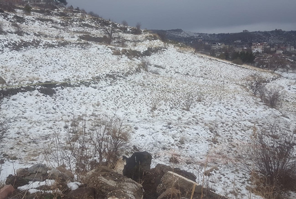 Kayseri'de lise rencisi l bulundu