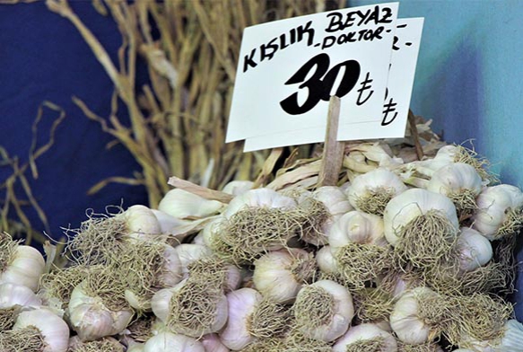 Sel ve dolunun vurduu sarmsak fiyatlar uua geti