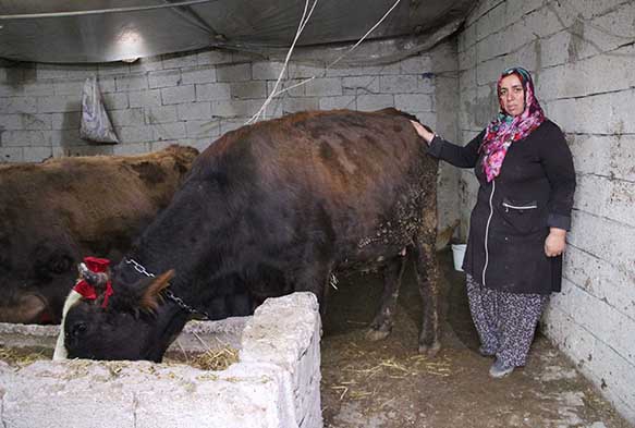 'Mikrokredi' ile iftlik kurdu