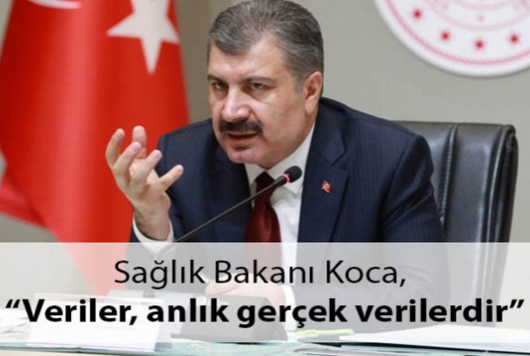 Salk Bakan Koca, Veriler, anlk gerek verilerdir