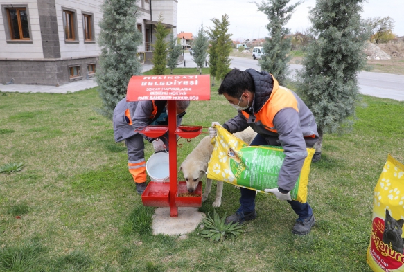 Melikgazi'de salgna ramen sokak hayvanlar unutulmad