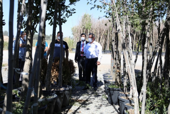 Daha yeil bir Melikgazi iin aalar yolda