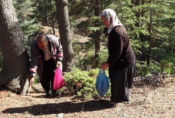 Her yerde onu aryorlar: Kilosu 100 TL