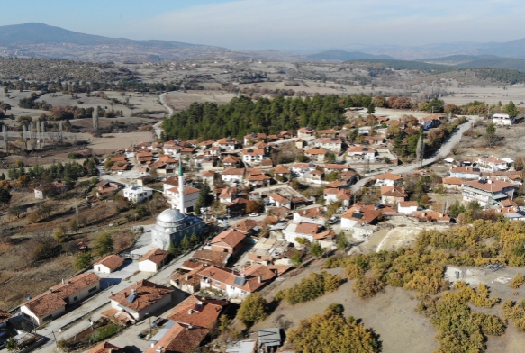 Kyn yars koronaya yakaland, kimse vefat etmedi