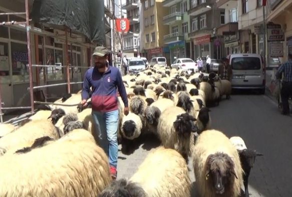 Havalar snd, yayla g balad