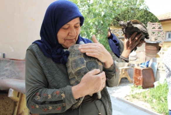 Kaplumbaa terbiyecisi Zekiye teyze