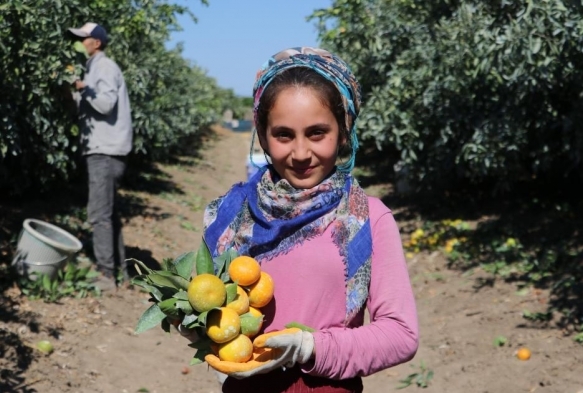 Adanada mandalina hasad sryor