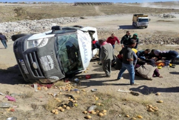 Tarm iilerini tayan minibs devrildi: 12 yaral