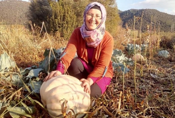 Anneannesinin sandndan kan tohumlar dev bal kaba oldu