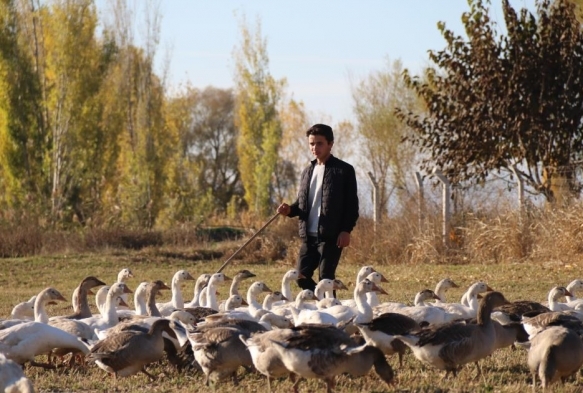 Gen kaz yetitirici kardelerin rnek olacak baars