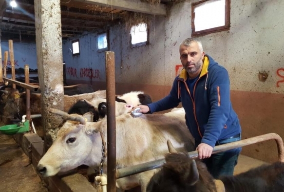 Muhtar kye dn yapanlara inek desteinde bulundu