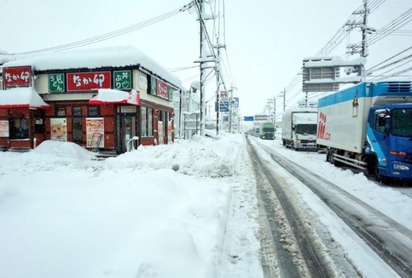 Japonyada iddetli kar ya hayat olumsuz etkiledi