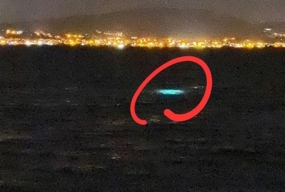 zmir'de kaak deniz patlcan av operasyonu