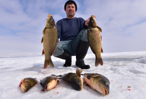 Nazik Gl'nde Eskimo usul balk av