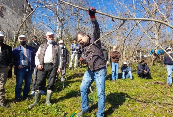 Fndk reticisine budama ve gbrelere eitimi veriliyor