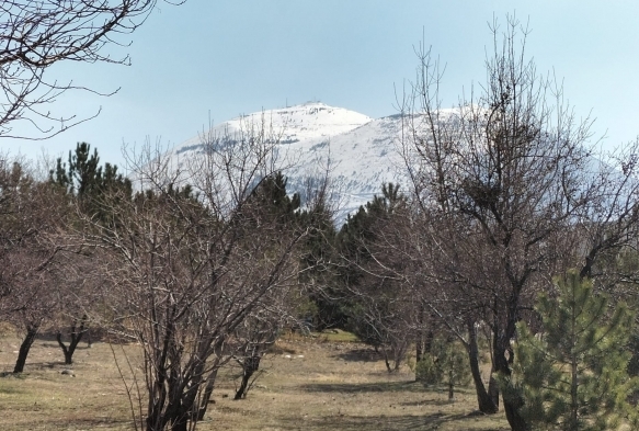 Kayseri'de bahar havas 