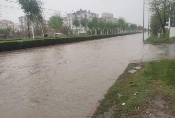 Kayseri'de saanak ya hayat olumsuz etkiledi