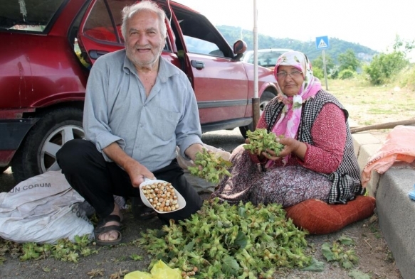 Yeni sezon fnd yol kenarlarnda sata kt