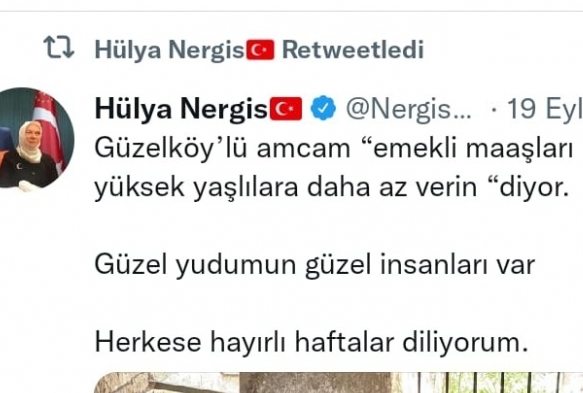 Nergis'ten tepki eken paylam